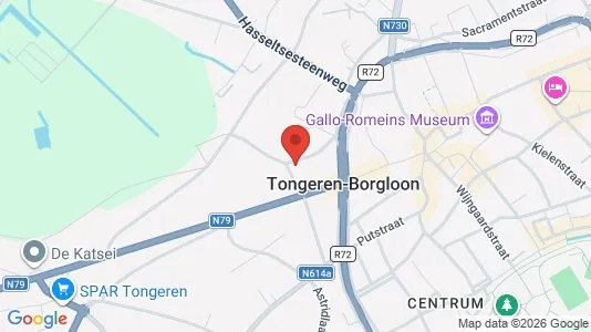 Apartments for rent i Tongeren - kort over placeringen