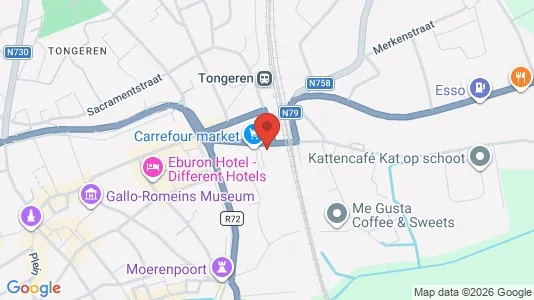 Apartments for rent i Tongeren - kort over placeringen