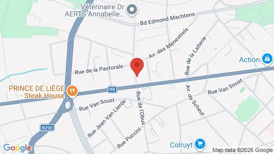 Apartments for rent i Brussels Anderlecht - kort over placeringen