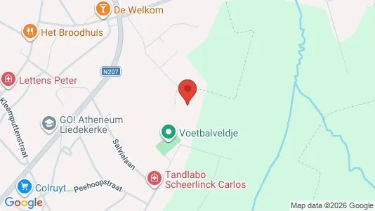 Apartments for rent i Liedekerke - kort over placeringen