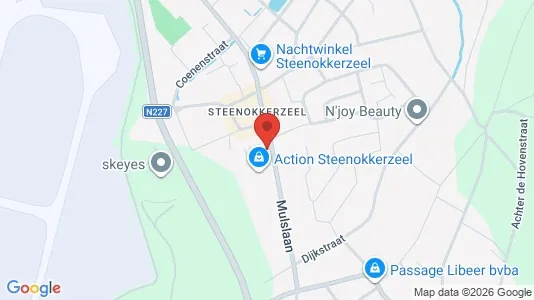 Apartments for rent i Steenokkerzeel - kort over placeringen