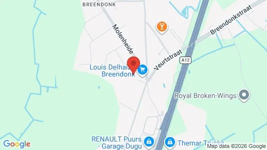 Apartments for rent i Puurs-Sint-Amands - kort over placeringen