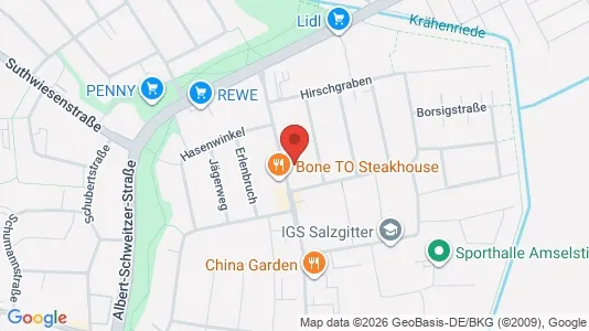 Apartments for rent i Salzgitter - kort over placeringen