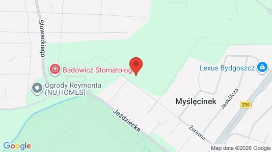 Apartments for rent i Bydgoski - kort over placeringen