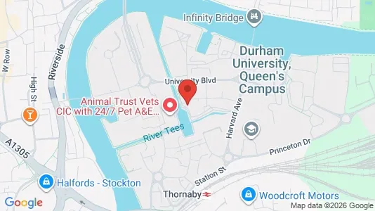 Apartments for rent i Stockton-on-Tees - Cleveland - kort over placeringen