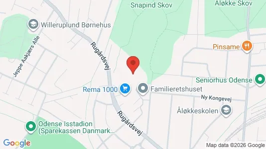 Apartments for rent i Odense C - kort over placeringen