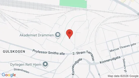 Rooms for rent i Drammen - kort over placeringen