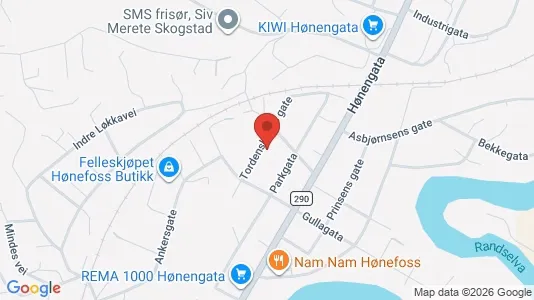 Apartments for rent i Ringerike - kort over placeringen