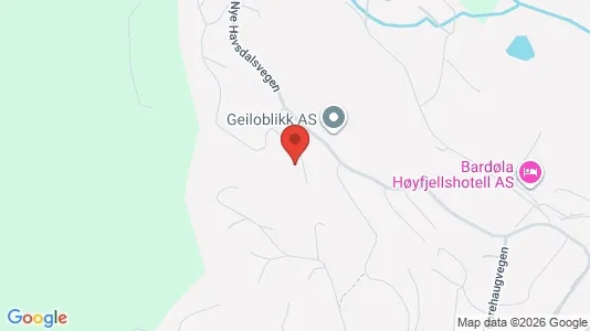 Apartments for rent i Hol - kort over placeringen