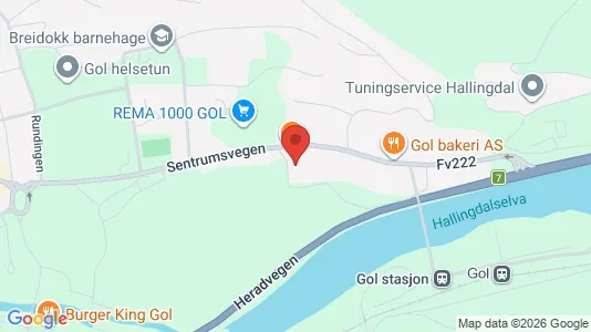 Apartments for rent i Gol - kort over placeringen