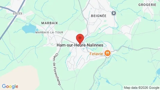 Apartments for rent i Ham-sur-Heure-Nalinnes - kort over placeringen