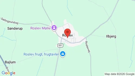 Houses for rent i Roslev - kort over placeringen