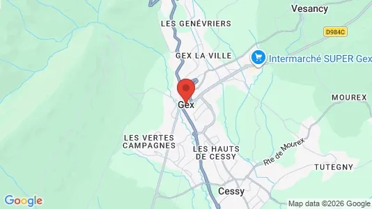 Apartments for rent i Gex - kort over placeringen