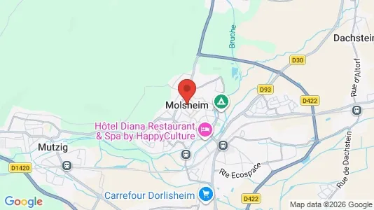 Apartments for rent i Molsheim - kort over placeringen