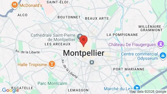 Apartments for rent i Montpellier - kort over placeringen