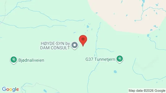 Houses for rent i Gol - kort over placeringen
