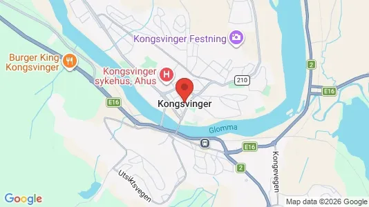 Houses for rent i Kongsvinger - kort over placeringen