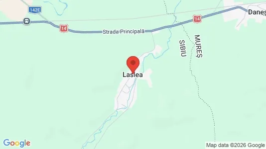 Apartments for rent i Laslea - kort over placeringen