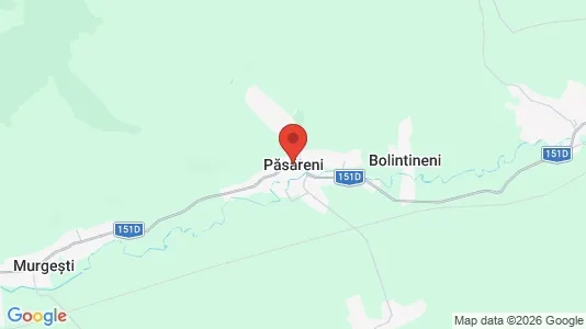 Apartments for rent i Păsăreni - kort over placeringen
