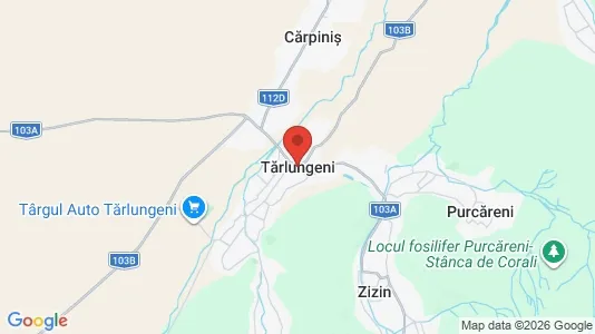 Apartments for rent i Tărlungeni - kort over placeringen