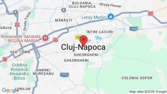 Apartments for rent i Cluj-Napoca - kort over placeringen