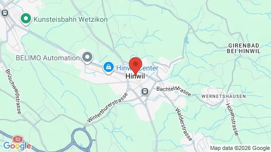 Apartments for rent i Hinwil - kort over placeringen