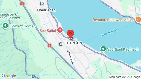 Houses for rent i Horgen - kort over placeringen